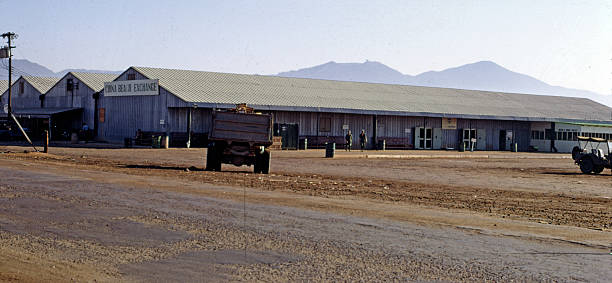 China Beach Exchange stock photo