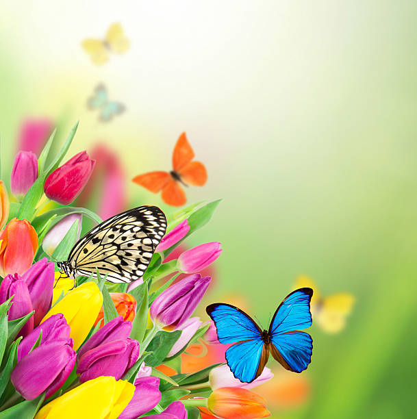 istock Beautiful bouquet of flowers. 476090227