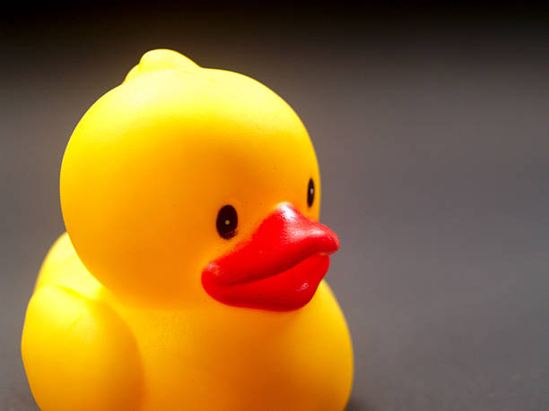 istock Toy Rubber duck and friends 476090979