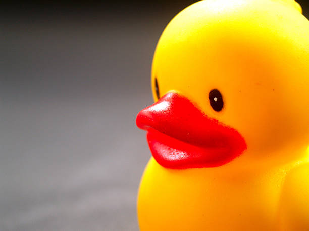 istock Toy Rubber duck and friends 476090997