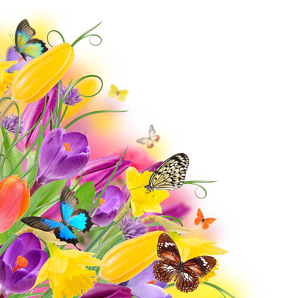 istock Beautiful bouquet of flowers. 476091625
