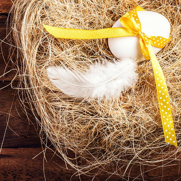 istock Easter nest with Egg, yellow ribbon and white feather 476092553