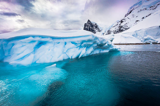 istock Huge icebergs in Antarctica 476093068