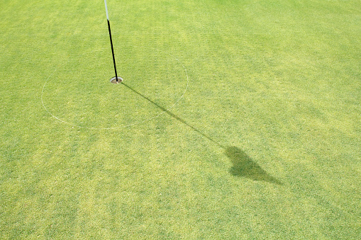 Turf core aeration on green golf.