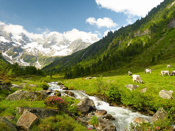 ファンタスティックルームアルプス山の風景 - tirol ストックフォトと画像