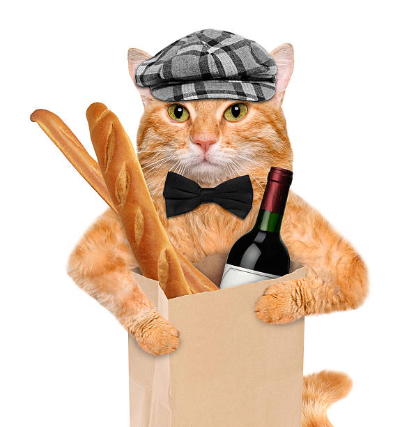 Cat with a bottle of wine and bread.