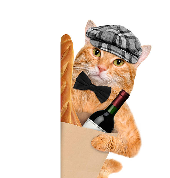 istock Cat with a bottle of wine and bread. 476097328