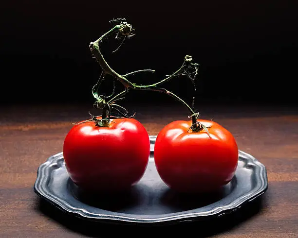 A pair of tomatoes with figurative vine.
