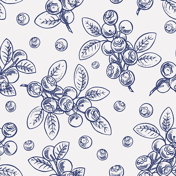 seamless sketch blueberry Beautiful seamless background with sketch sprigs of blueberry huckleberry stock illustrations