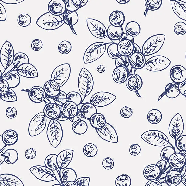 Vector illustration of seamless sketch blueberry