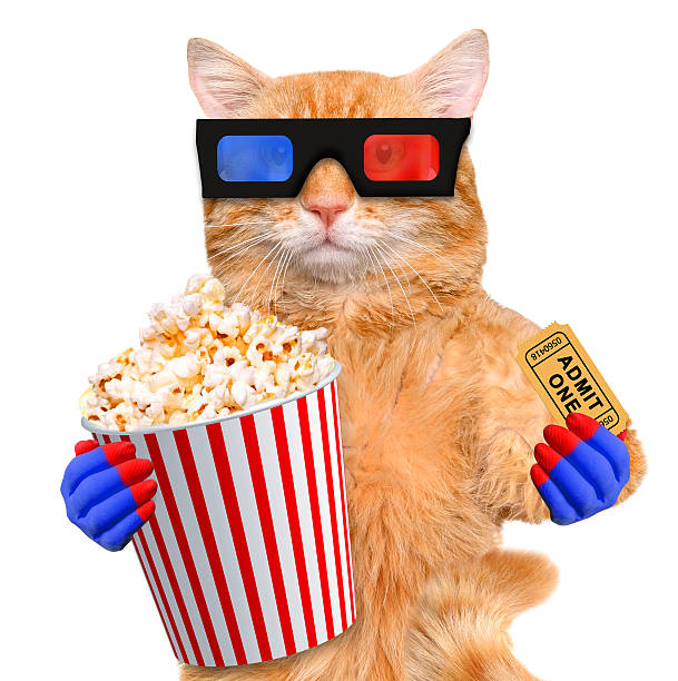 istock Cat watching a movie 476099316
