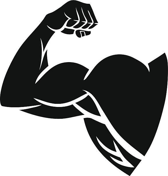 прочные руки силуэт - muscular build human muscle men anatomy stock illustrations