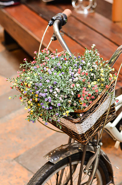 istock flower on the bike 476100319