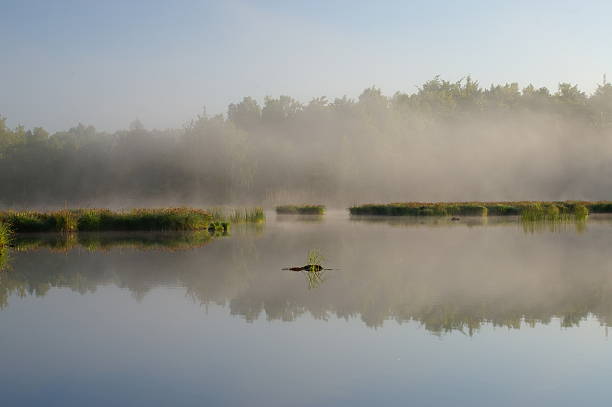 istock Placid lake with light fog and clear reflections 476100561