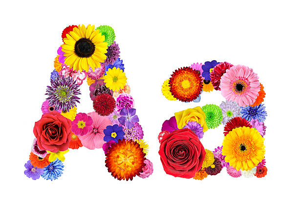 istock Flower Alphabet Isolated on White - Letter A 476100727