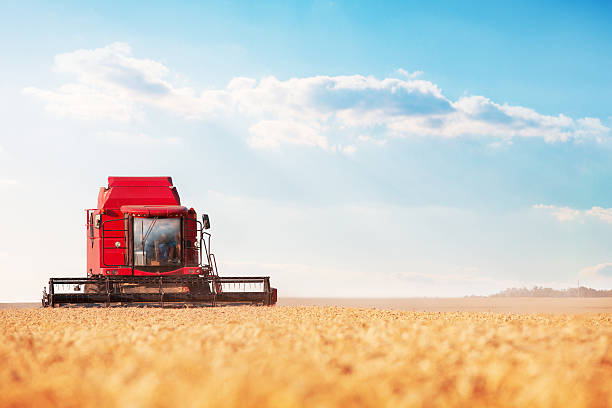 Combine harvester in a wheat field stock photo
