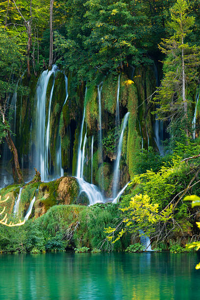 водопады в национальный парк плитвицкие озера, хорватия - plitvice lakes national park water lake national park стоковые фото и изображения