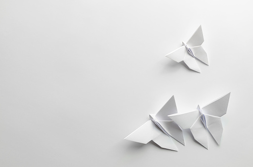 origami mariposas blancas sobre fondo blanco photo