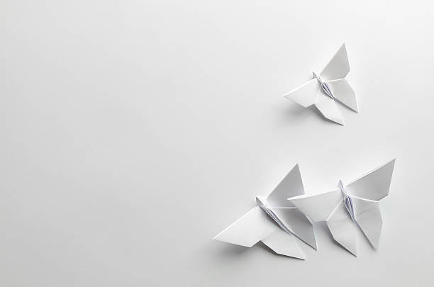 White origami butterflies on white background White origami butterflies on white background. Copy space origami stock pictures, royalty-free photos & images