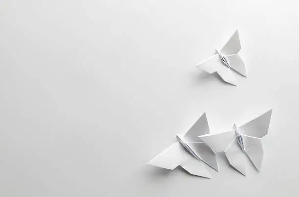 White origami butterflies on white background. Copy space