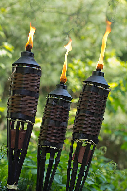 대나무 citronella torch - candle lemon grass insect repellant insect 뉴스 사진 이미지