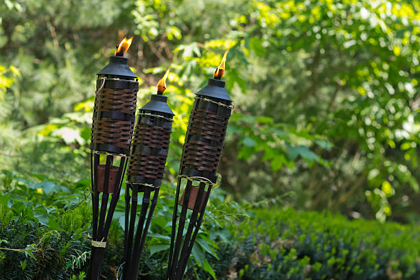 torcia in bambù e citronella - candle lemon grass insect repellant insect foto e immagini stock