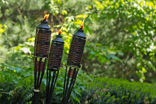 Bamboo citronella torches to repell mosquitoes and other insects