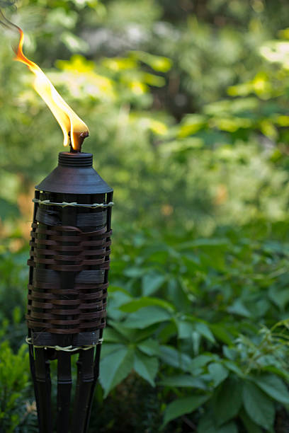 torcia in bambù e citronella - candle lemon grass insect repellant insect foto e immagini stock