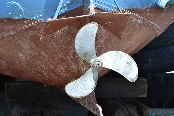 Boat's propeller  Screw