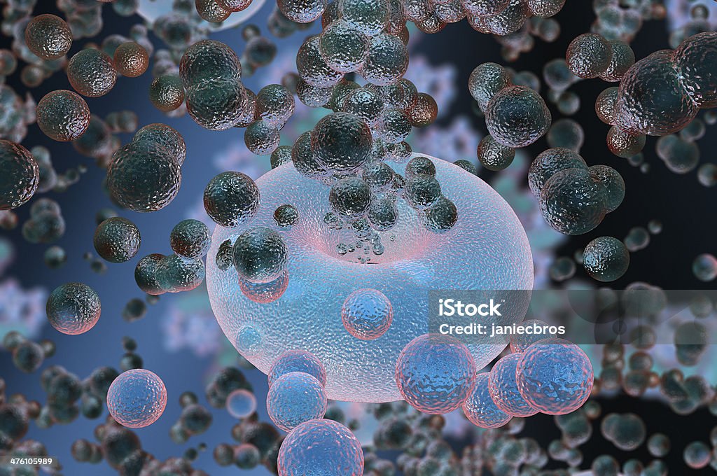 Cells High quality 3d render of cells Animal Egg Stock Photo