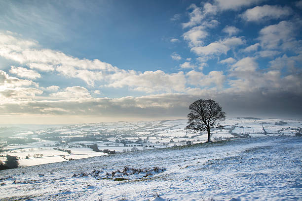 Beautiful Winter landscape snow covered fields in countryside stock photo