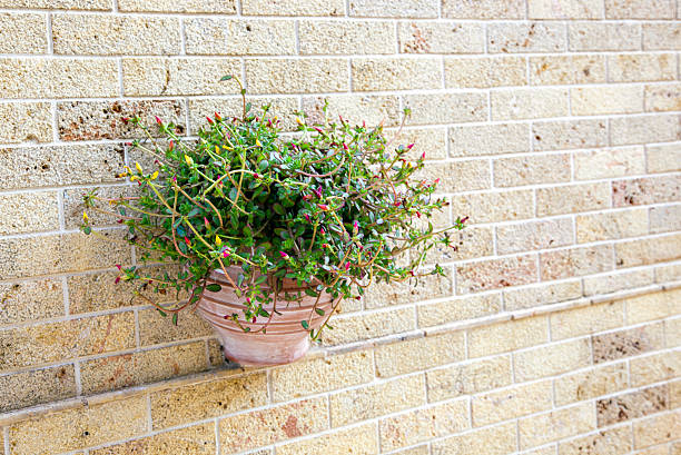 istock Pot with flowers hanging on a brick wall 476106882