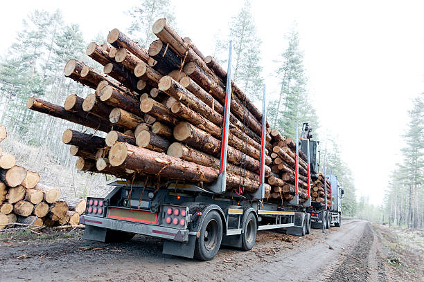 Timber truck on swedish dirt road Timber truck just finished loading on small scandinavian dirt road lumber industry photos stock pictures, royalty-free photos & images