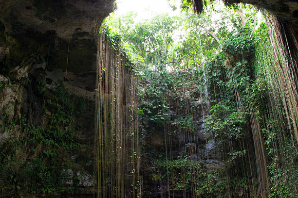 istock Mexican cenote or Sinkhole 476108727