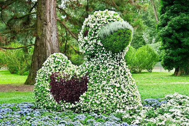 flower bed in the shape of duck