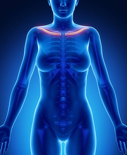 鎖骨ブルー x--ray 骨スキャン - pain rib cage x ray image chest ストックフォトと画像
