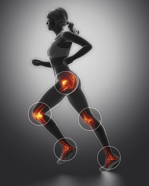 pierna la mayoría de los heridos regoins en el deporte-tobillo, rodilla y cadera - talus fotografías e imágenes de stock