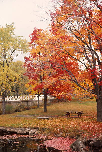 istock Autumn In Pennsylvania  1979 476110276