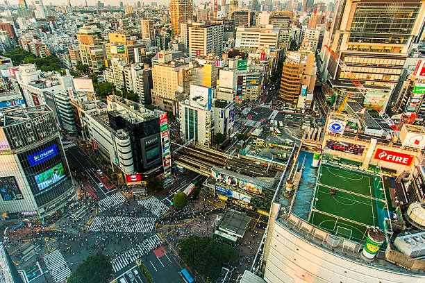 Shibuya Crossing Aerial Panorama