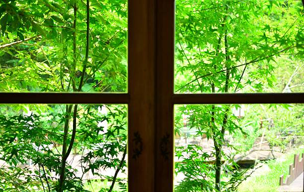 istock Green maple leaves outside the window 476115382