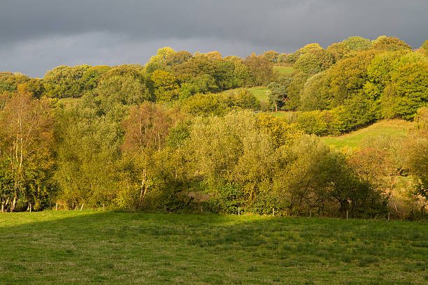 istock Autumn Fall Fields and Trees, Wales, United Kingdom. 476116656