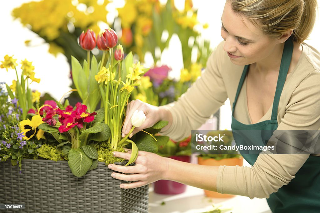 꽃집 준비해 연두빛 꽃 색상화 - 로열티 프리 금발 머리 스톡 사진