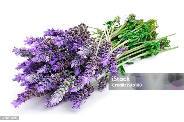 Lavender Flowers Stock Photo - Download Image Now - Alternative Medicine, Alternative Therapy, Aromatherapy