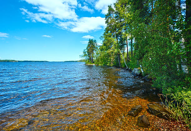 istock Lake Ruotsalainen summer view (Finland). 476117901