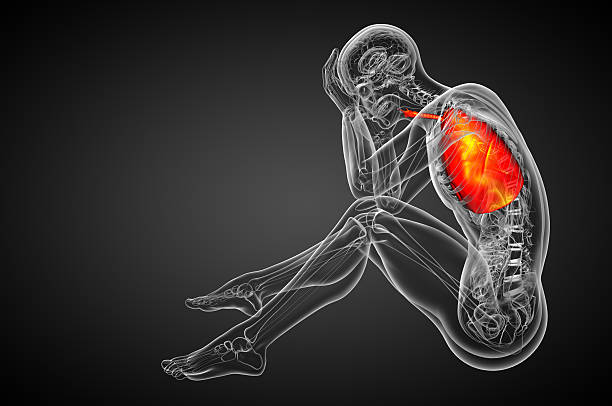 istock 3d render medical illustration of the human respiratory system 476119178