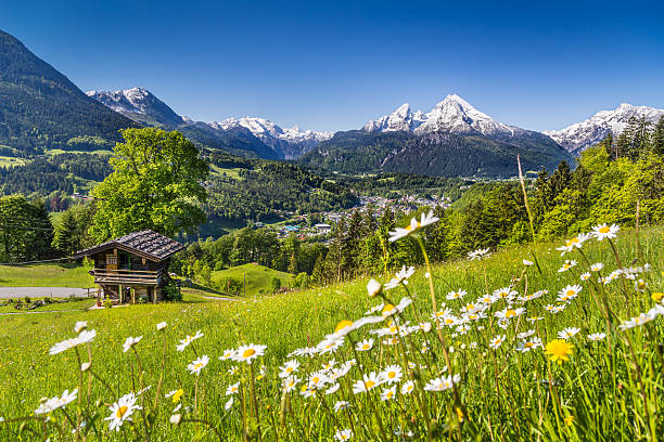 идиллический пейзаж в альпах с традиционными mountain lodge - farmhouse the natural world meadow pasture стоковые фото и изображения