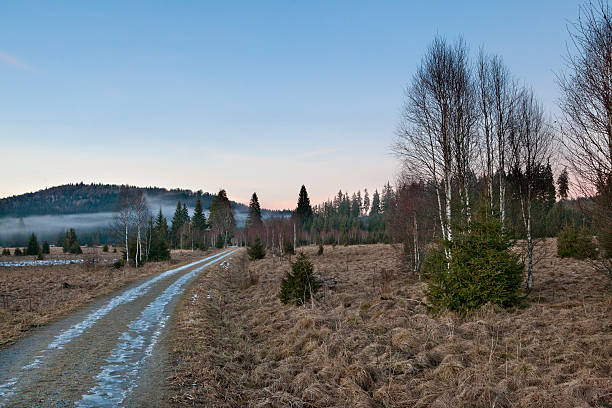 istock Path in frozen scenic meadow countryside in winter 476122410