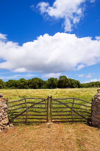 Menorca traditional wooden gate in spring at  Balearic islands of Spain