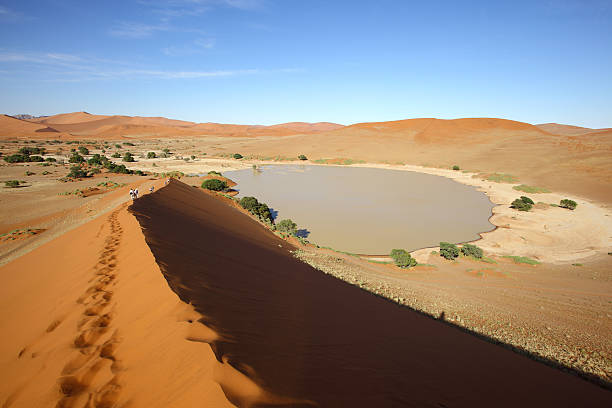 istock On top of the dune at Sossusvlei 476126519