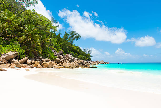 istock Beautiful Paradise beach - Anse Georgette at Praslin, Seychelles 476128412